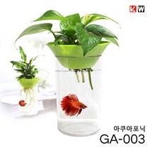 KW 도핀 아쿠아포닉 미니 어항 GA-003 (수경식물 겸용), 올디아망유리