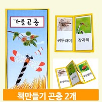 가을 교구책 만들기 곤충 2개 북아트 학습 키트 도안 꾸미기 재료 어린이집
