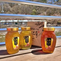 지리산 자연 천연 벌꿀 토종꿀 잡화꿀 아카시아꿀 밤꿀 1.2kg 2.4kg, 밤꿀 2.4kg