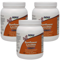 미국 나우푸드 Sunflower Lecithin Pure Powder 454g 3SET, 1개, 기본