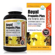 지보리 네추럴라이즈 로얄 프로폴리스 플러스 MA1213