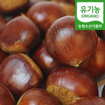 (자연마을) 공주 유기농 정안밤 1kg 2kg 피밤 생밤 생율