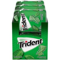 Trident 트라이던트 무설탕 스피어민트 껌 50개입 6팩, 6개