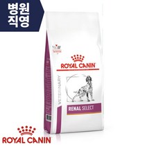 로얄캐닌 독 레날 셀렉트 2kg, 1개