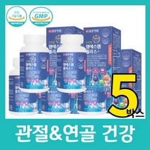 관절 연골 건강 MSM 무릎 영양제 여성 50대 선물 추천 엠에스엠 아연 비타민 D 뼈 일양약품 프라임 플러스 식약처 인증 손가락 손목 남성 40대 60대 건강기능식품, 120정 X 5박스