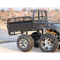 소형 사륜바이크 산악 짐운반 농업용 오토바이 레저용 4륜구동 네발바이크 ATV, 검은색