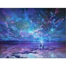 파인아트홀 취미 보석십자수 대형 40x50cm 패브릭형 해바라기 액자 캔버스 부엉이 명화 그림 풍경 거실, 40x50cm 별별