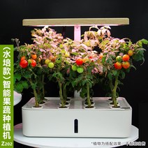 가정용 식물재배기 수경재배기 가정용스마트팜 약용식물 실내텃, 수경재배기(Z202)