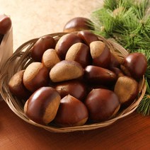 광양 햇 알밤 5kg 중, 단품