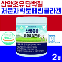 바디프로젝트 산양초유단백질 산양유초유 단백질 분말 락토페린분말 분리유청단백질 유당불내증 없는 단백질보충제, 2통