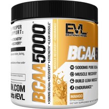 EVLUTIONNUTRITION BCAA 5000 망고 맛, 207g, 1개