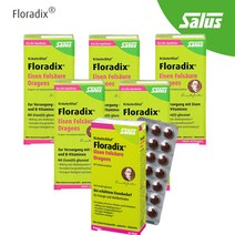 살루스 독일 철분 엽산 플로라딕스 Floradix 84정 독일직배송, 6박스