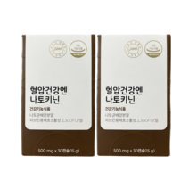 피토틱스 혈압건강엔 나토키닌 500mg 2개월분