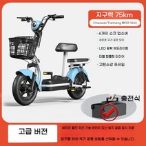 전동오토바이 전동스쿠터 48V 12Ah 출퇴근용 배달용 전기 장보기용 전동자전거, E