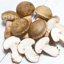 문경 송화고버섯 못난이 500g 송화 송고 고송, 1개