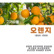고가유통 / 호주산 프리미엄 네이블 오렌지 신선 새콤 고당도 오렌지, 중과10개(1.8kg)