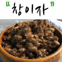 국산 창이자 300g 도꼬마리 말린 창이자, 1개