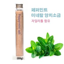 오가닉홈 자일리톨 미네랄 양치소금(60g)유기농페퍼민트 오일첨가(입냄새 구강염증탁월), 1개