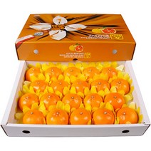 농장직송 고당도 천혜향 3kg 5kg 10kg, 1박스, 천혜향 5kg 특대(18~22과)