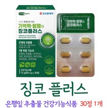 징코 플러스 진코 찡코 찐코 은행잎 추출물 영양제 식야처 인증 캡슐 넣는 알약 케이스 증정, 1개, 30정