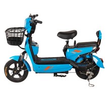 2인용전기차 이륜차 배달용 전기 스쿠터 전동 자전거 보조의자 바구니, 40km 배터리 장착, D