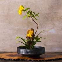 이케바나화병 동양 꽃꽂이 도자기 미니 수반 2컬러 이케바나 꽃 세라믹 화기 일본 오하라 침봉 세트 꽃화병 도자기화병 세라믹화병, 블랙