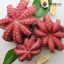 세림수산 모리타니아 자숙문어 제수용 돌문어 한마리 600g 1kg (삶은 중량), 500g ~ 700g