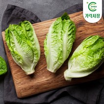 [온도씨]가락시장 통로메인(1.8kg-2kg), 단품