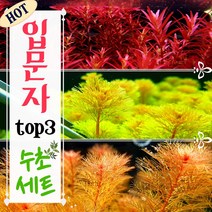 [미초] 초보도 키우기 쉬운 입문자 수초 세트 (총 14촉) / 구피 수초 / 수초 세트 / 치어 수초