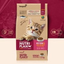 동원 뉴트리플랜 플러스 키튼 어린고양이사료 1.5kg 3kg, 키튼 1.5kg