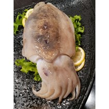 피시원 100% 국내산 손질갑오징어 200g 8팩, 단일옵션