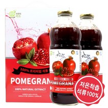 트루앤라이프 TNL 프리미엄 NFC 통째로 짜낸 석류100%, 2병, 1000ml