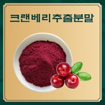 크랜베리추출분말 50g 샘플, 단품, 단품
