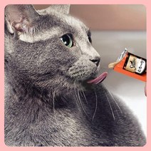 냥이 길냥이 고양이 짜먹는 간식 츄르 멜티 참치 48g 냥이, 상품선택