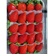 죽향딸기 산지직송 프리미엄 명품 논산딸기, 2kg