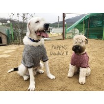 대형견니트 진돗개옷 보더콜리 리트리버 도베르만 대형견 옷, 와인