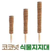 코코넛 식물 지지대 지주대 수태봉 넝쿨 몬스테라 원예, 코코넛지지대-30cm