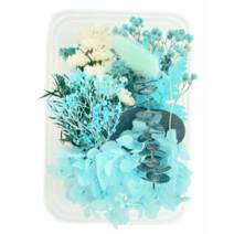 드그라쎄 드라이플라워 모음 박스, 스카이