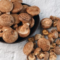 자연애 표고버섯 650g, 생표고버섯 가정용 650g