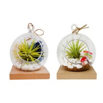 [바보사랑] 이오난사 모스 테라리움 만들기 DIY 작은 정원 재료, 선택:동물농장, 상세 설명 참조