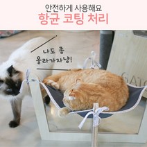 고양이 무중력 둥둥 튼튼한 자작나무 원목 해먹, 민트