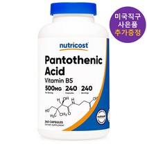 뉴트리코스트 판토텐산 고용량 500mg 240정 추가 사은품 증정