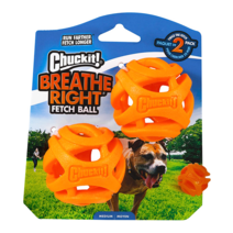 척잇 숨쉬기 쉬운 패치볼 훈련용 간식 강아지 장난감, 미디움(2p)