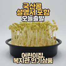 일런드 국산 콩나물 키우기 키트 국산콩 포함 세트, 2개