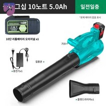 세차 블로워 대포 무선 브로워 제설 충전 낙엽청소기 송풍기, 플래그십 순동 10노트 5.0Ah (1전기 1충전)