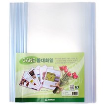 도리미 CANE 쫄대화일 (10개)문구 화일 사무용품 학용품 홀더화일, 본상품