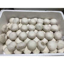양송이 2kg, 하, 1개