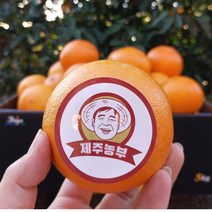 [제주농부] 산지직송 고당도 제주 황금향 (선물용 가정용 벌크), 황금향 1.5kg(6-9입) 크기혼합 벌크