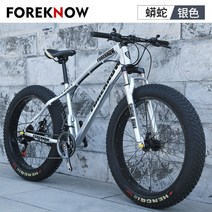 오프로드 산악 팻바이크 광폭타이어 다운힐 펫 바이크 로드자전거 MTB, 27단 + 20인치cm, 은색