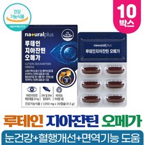 눈건강 루테인 지아잔틴 복합추출물 빌베리 결명자 추출분말 함유 건강기능식품, 30캡슐 x 10박스